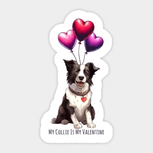 My Border Collie Is My Valentine Sticker